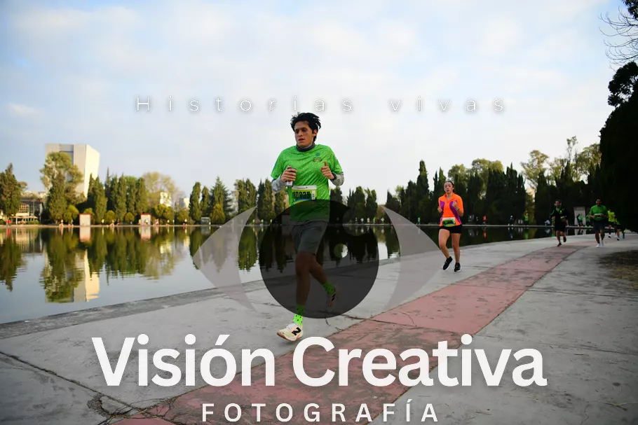 Foto del evento Shrek - CDMX 2026