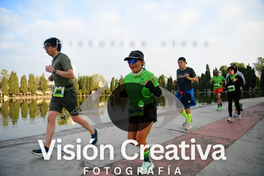 Foto del evento Shrek - CDMX 2026