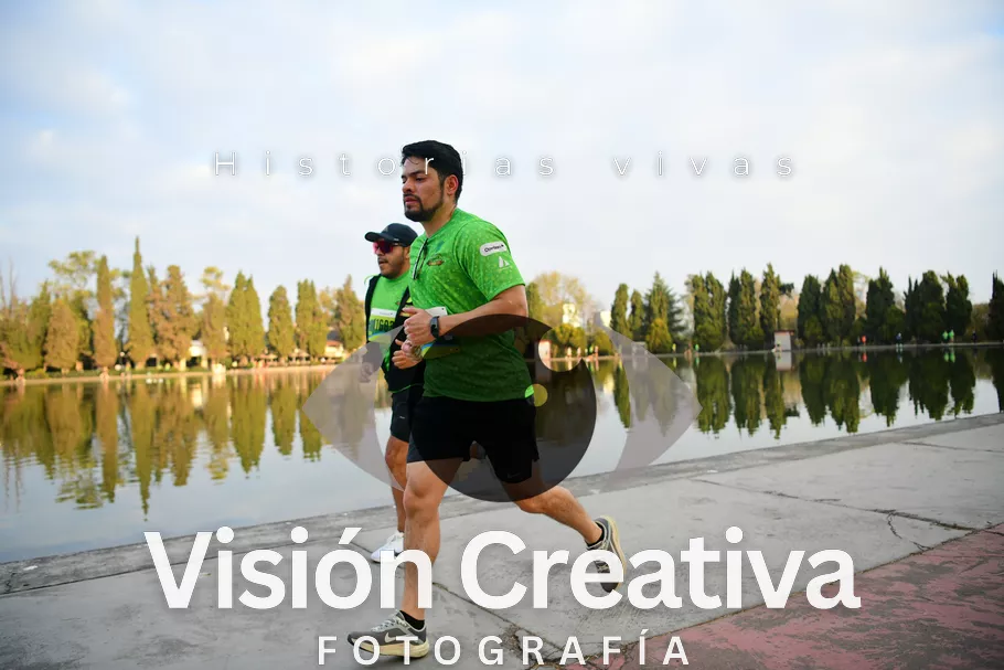 Foto del evento Shrek - CDMX 2026