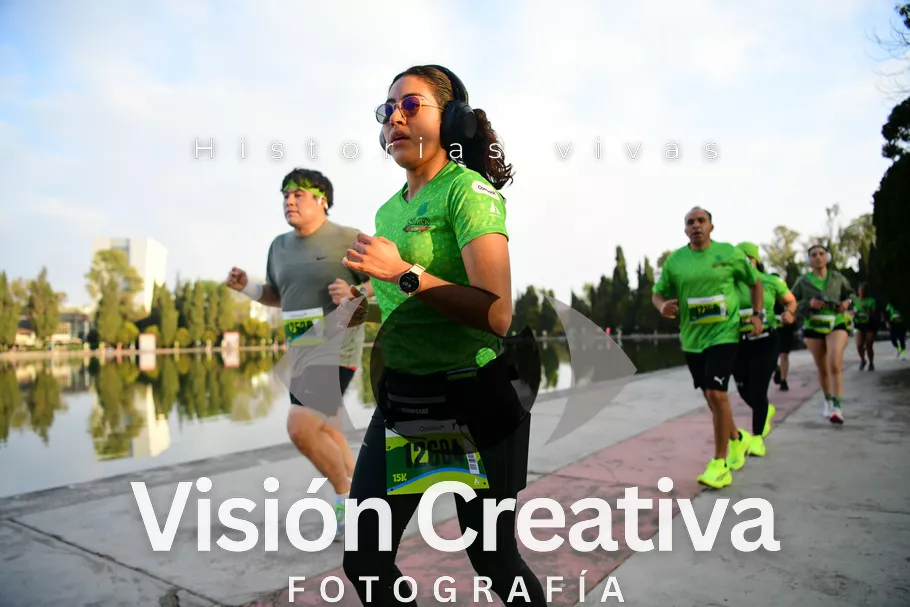 Foto del evento Shrek - CDMX 2026