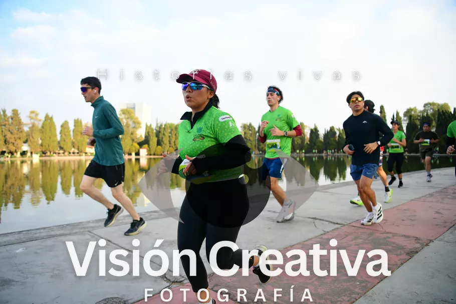 Foto del evento Shrek - CDMX 2026