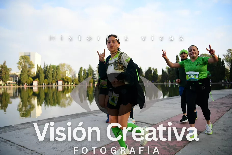 Foto del evento Shrek - CDMX 2026