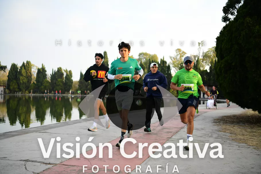 Foto del evento Shrek - CDMX 2026