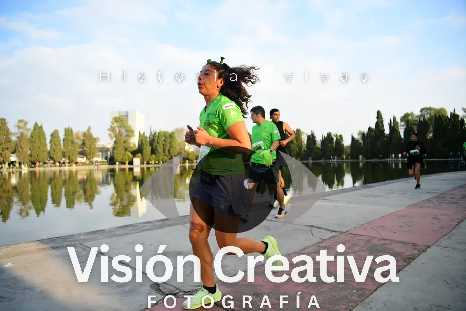 Foto del evento Shrek - CDMX 2026