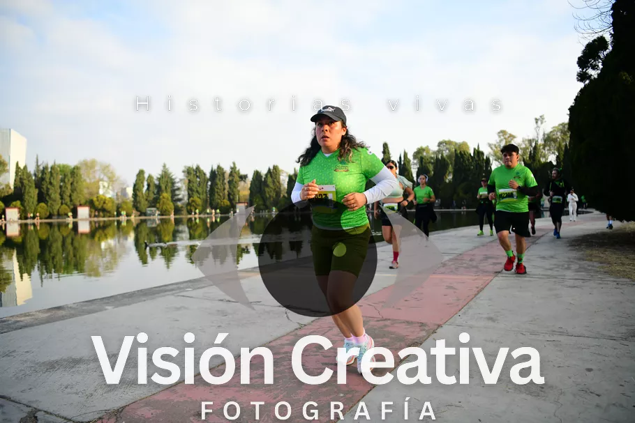 Foto del evento Shrek - CDMX 2026
