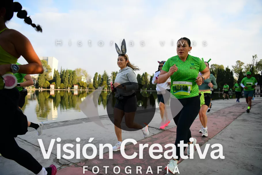 Foto del evento Shrek - CDMX 2026