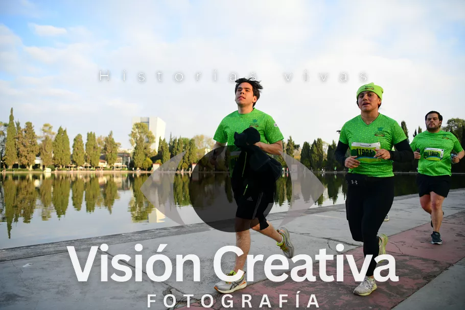 Foto del evento Shrek - CDMX 2026