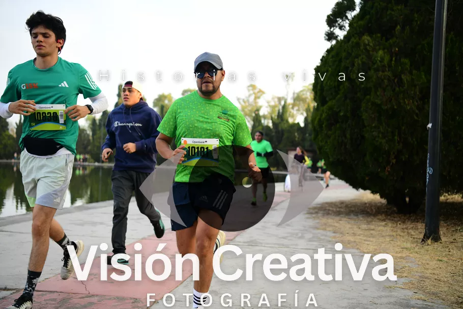 Foto del evento Shrek - CDMX 2026