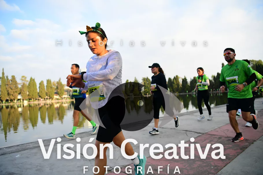 Foto del evento Shrek - CDMX 2026