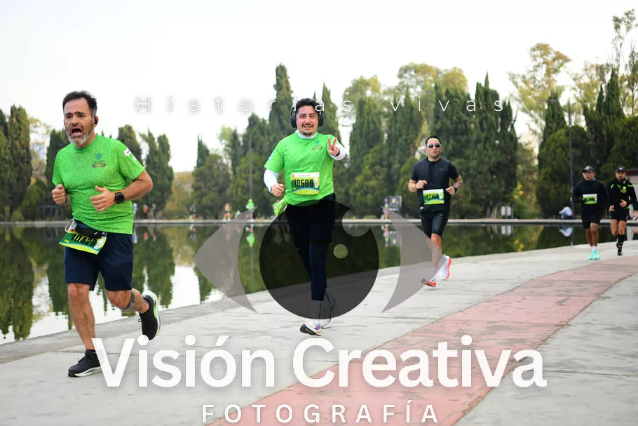 Foto del evento Shrek - CDMX 2026