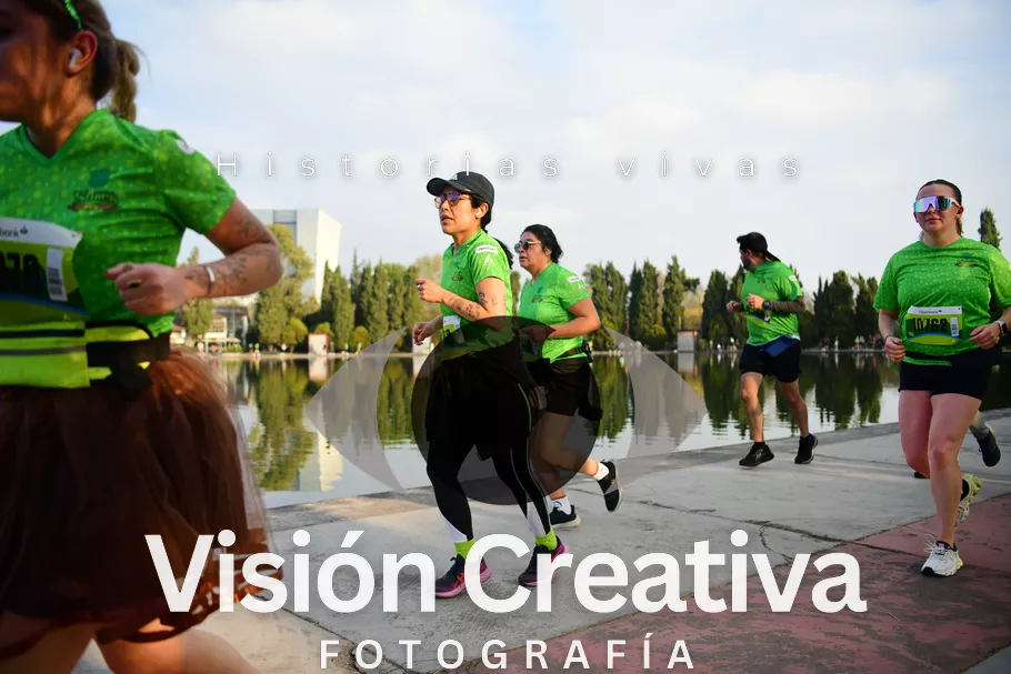 Foto del evento Shrek - CDMX 2026