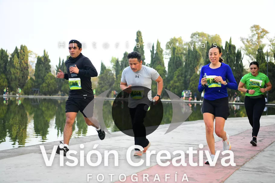 Foto del evento Shrek - CDMX 2026