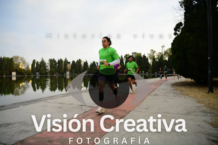 Foto del evento Shrek - CDMX 2026