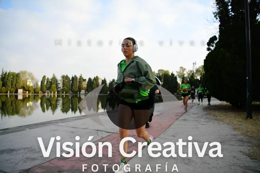 Foto del evento Shrek - CDMX 2026