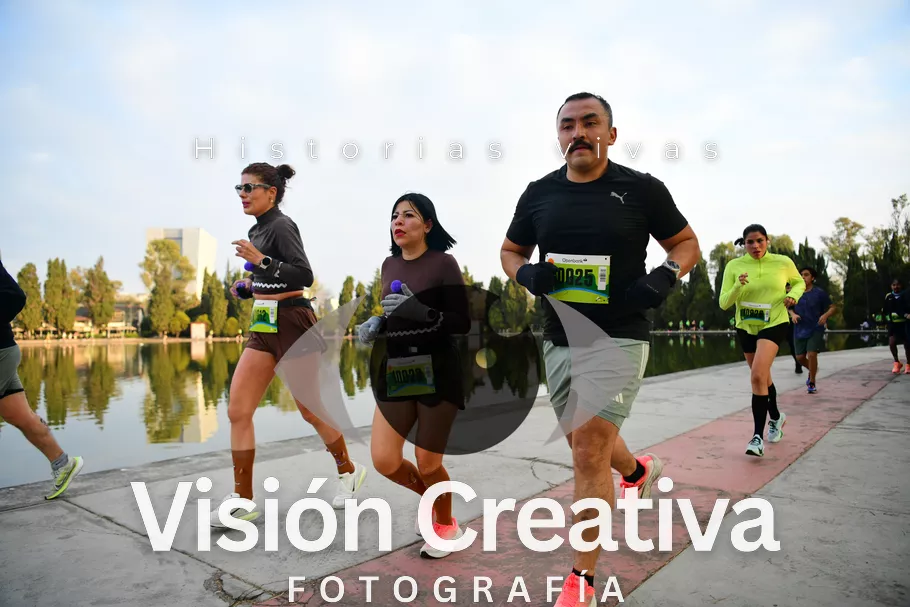 Foto del evento Shrek - CDMX 2026