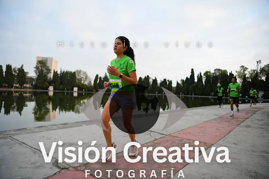Foto del evento Shrek - CDMX 2026