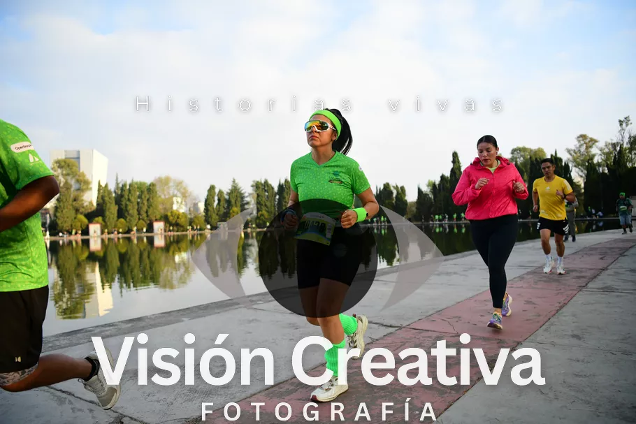 Foto del evento Shrek - CDMX 2026