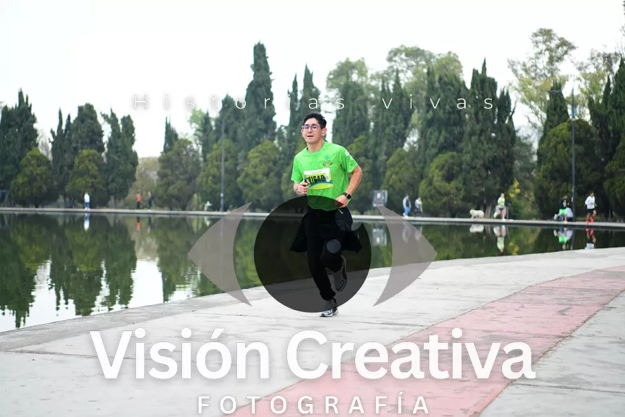 Foto del evento Shrek - CDMX 2026