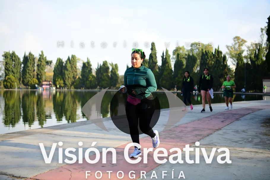 Foto del evento Shrek - CDMX 2026