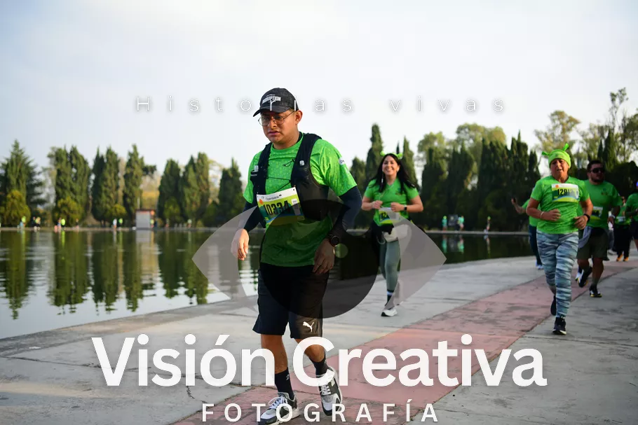 Foto del evento Shrek - CDMX 2026
