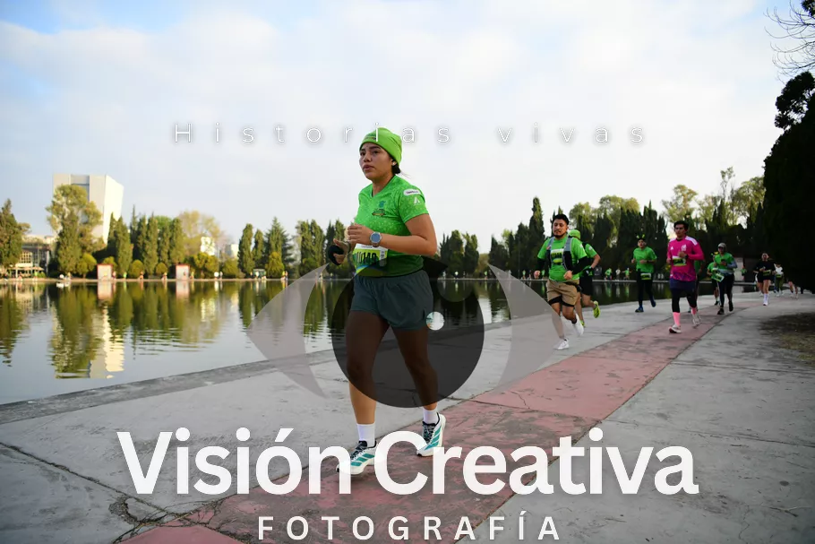 Foto del evento Shrek - CDMX 2026