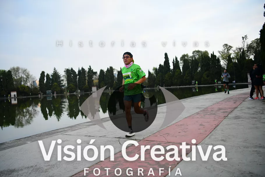 Foto del evento Shrek - CDMX 2026