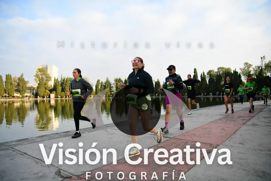 Foto del evento Shrek - CDMX 2026