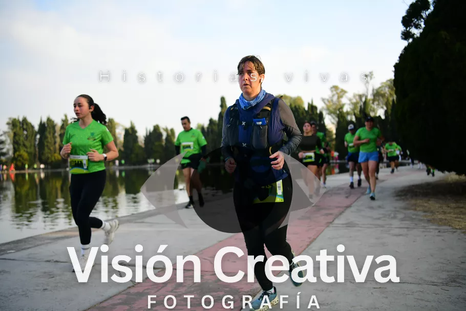Foto del evento Shrek - CDMX 2026