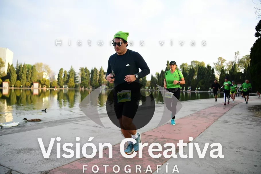 Foto del evento Shrek - CDMX 2026