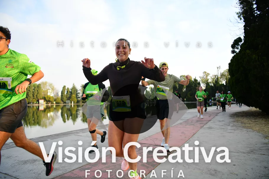 Foto del evento Shrek - CDMX 2026