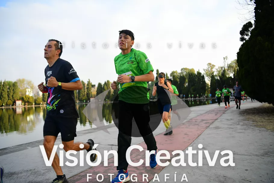 Foto del evento Shrek - CDMX 2026