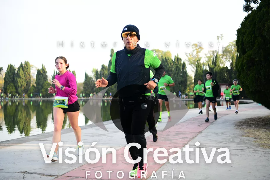 Foto del evento Shrek - CDMX 2026