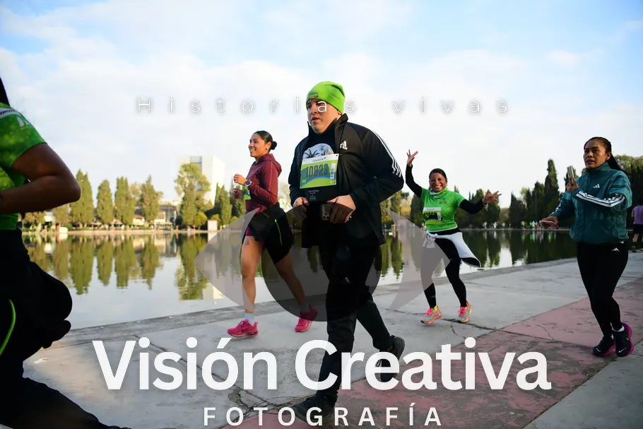 Foto del evento Shrek - CDMX 2026