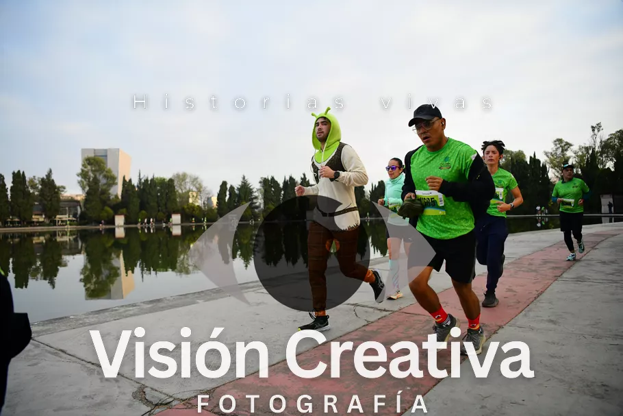Foto del evento Shrek - CDMX 2026