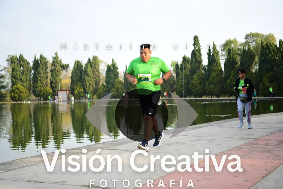 Foto del evento Shrek - CDMX 2026