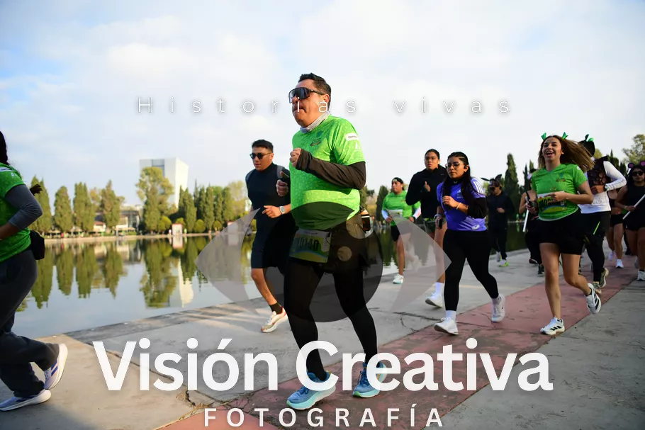 Foto del evento Shrek - CDMX 2026