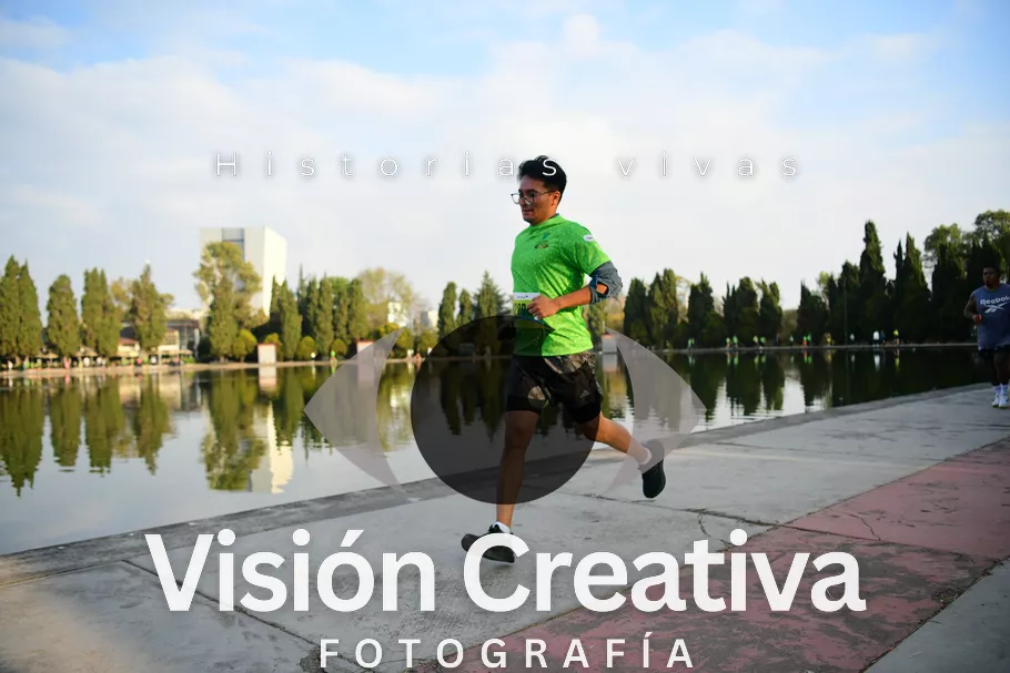 Foto del evento Shrek - CDMX 2026
