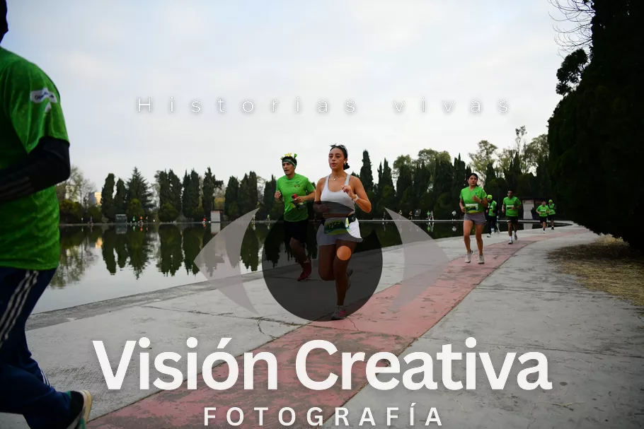 Foto del evento Shrek - CDMX 2026