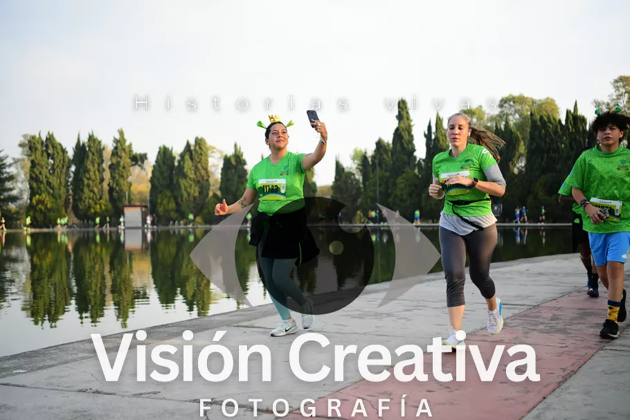 Foto del evento Shrek - CDMX 2026