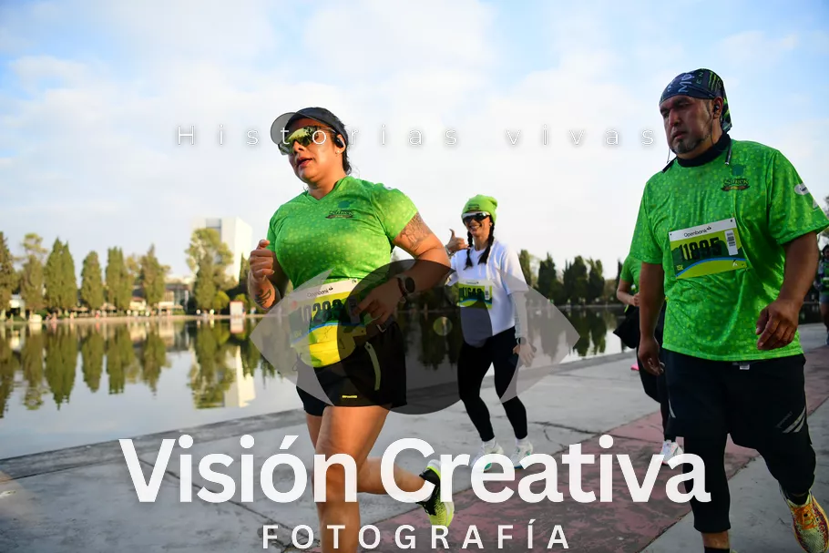 Foto del evento Shrek - CDMX 2026