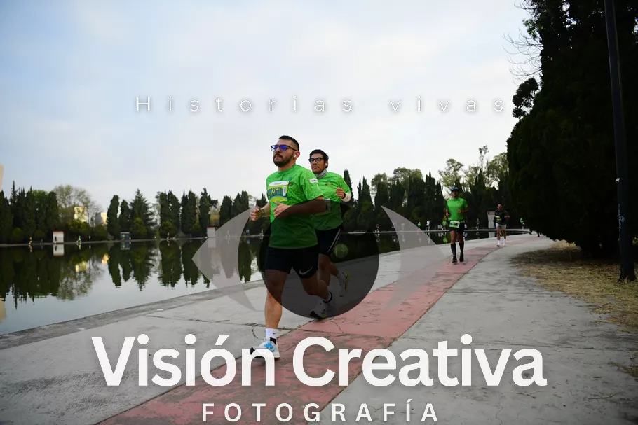 Foto del evento Shrek - CDMX 2026