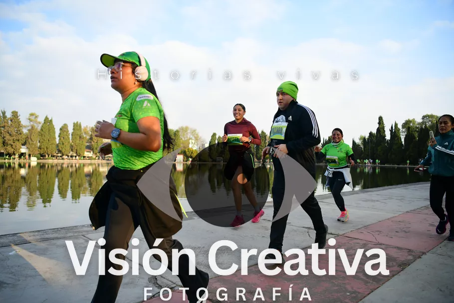 Foto del evento Shrek - CDMX 2026