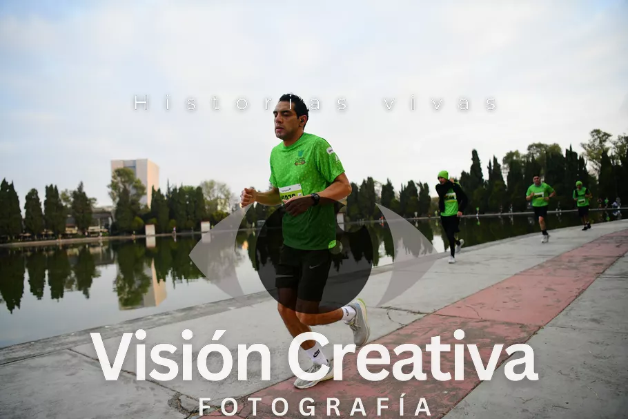 Foto del evento Shrek - CDMX 2026