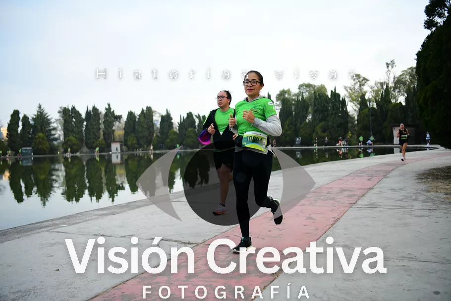 Foto del evento Shrek - CDMX 2026
