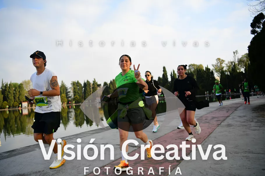 Foto del evento Shrek - CDMX 2026
