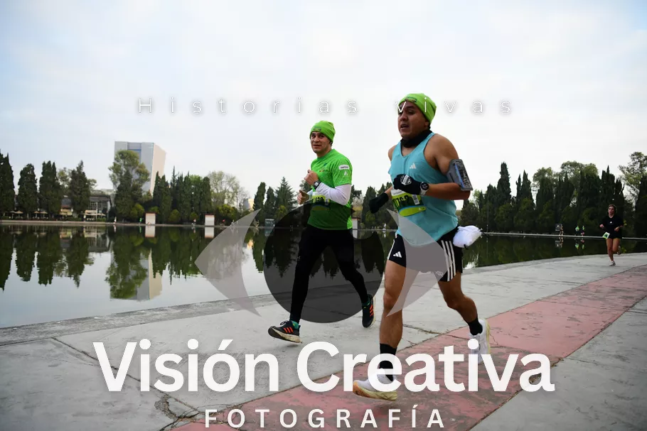 Foto del evento Shrek - CDMX 2026