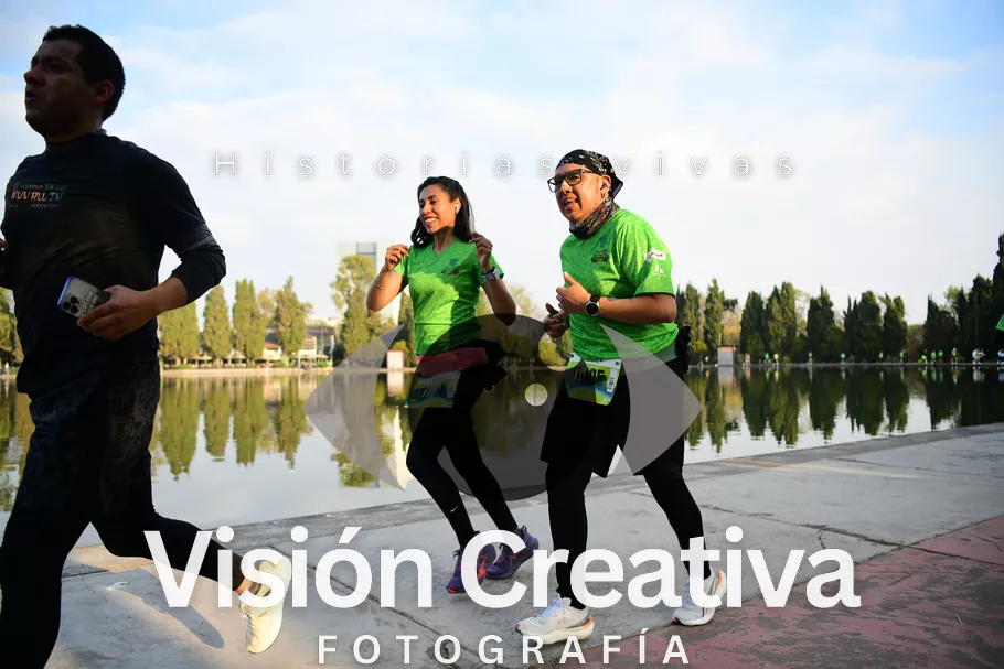 Foto del evento Shrek - CDMX 2026