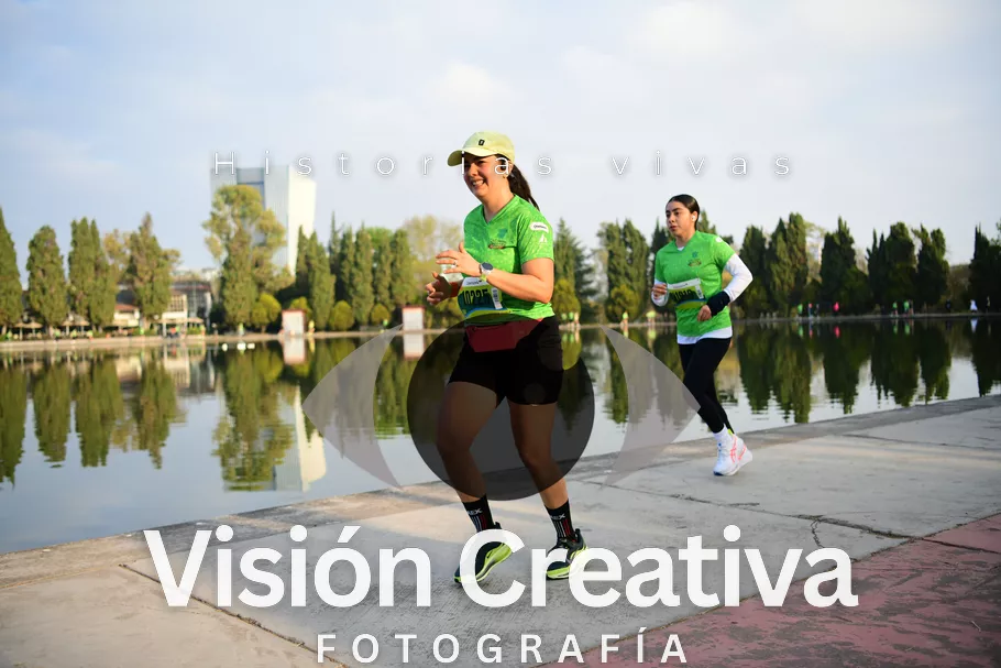 Foto del evento Shrek - CDMX 2026