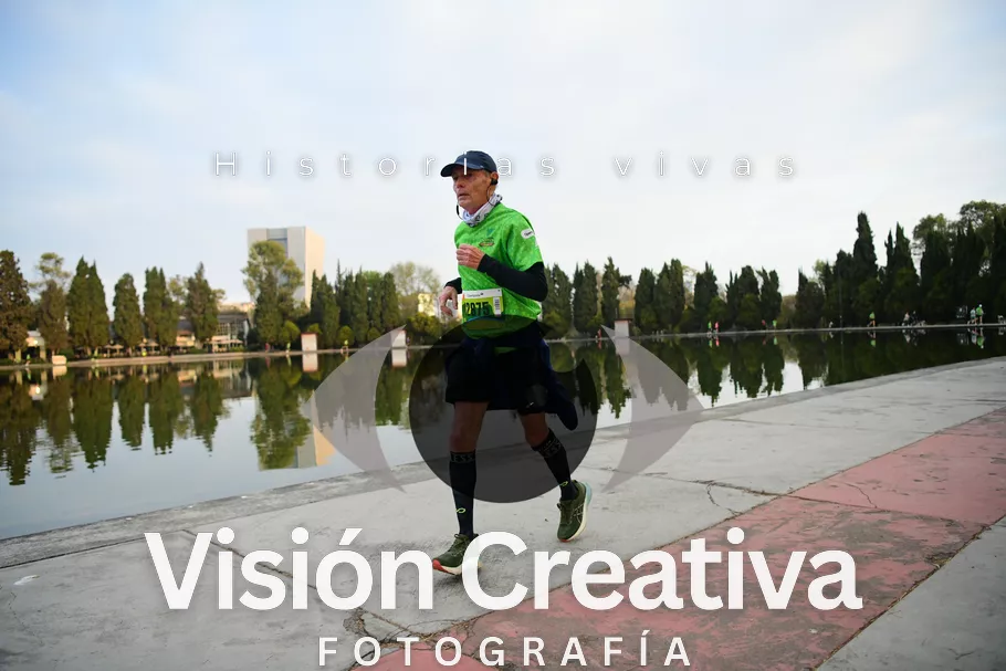 Foto del evento Shrek - CDMX 2026