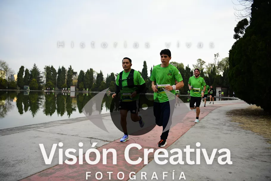 Foto del evento Shrek - CDMX 2026